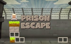 Block Puzzle: Logic Challenge