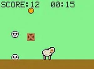 Pasture Coin Chase